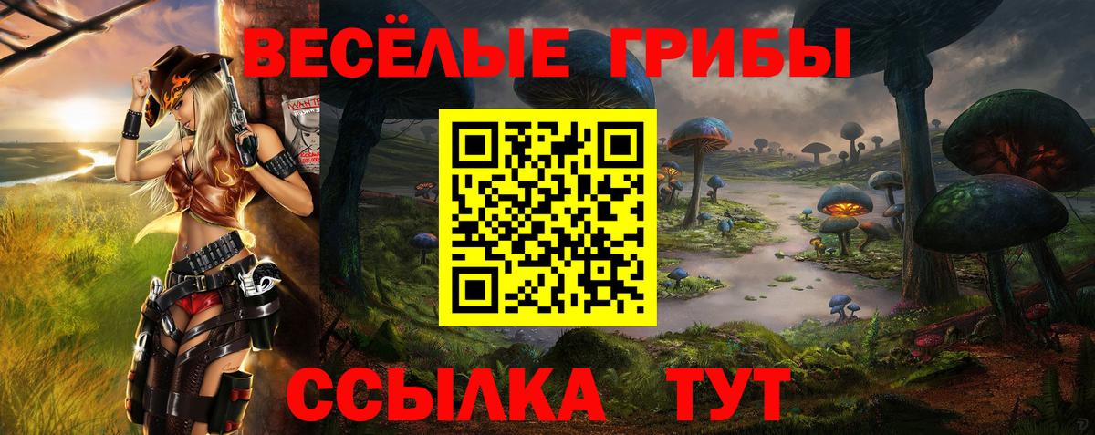 Псилоцибиновые грибы GOLDEN TEACHER  дарнет шоп  Тавда  Вход с VPN 