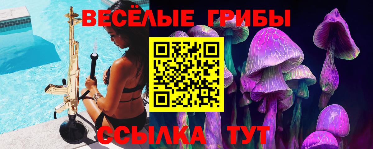 Галлюциногенные грибы прущие грибы Тавда